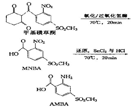 甲基磺草酮向MNBA與AMBA的轉(zhuǎn)變